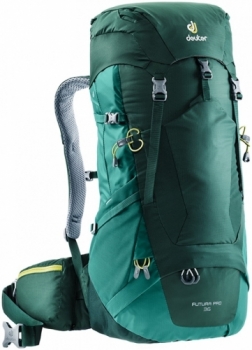 Рюкзак Deuter Futura Pro 36 3401118